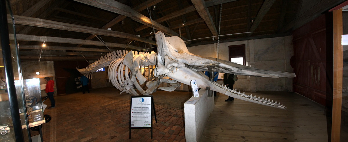 [Group 3]-2015_09_17_017280_2015_09_17_017286-7 images_Bildgr��e �ndern