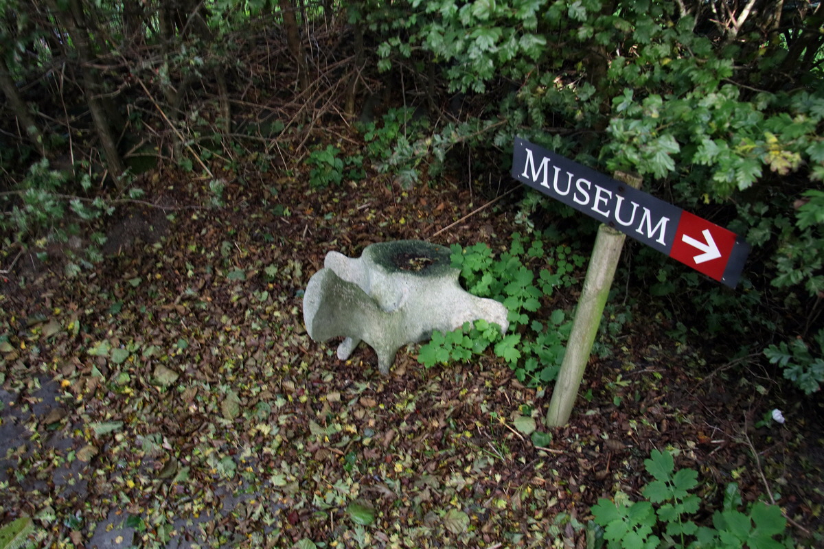 2015_09_17_017182p_Bildgr��e �ndern