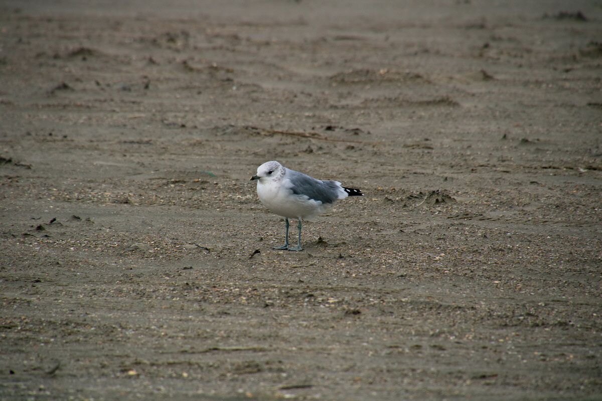 2015_09_17_018133p_Bildgr��e �ndern