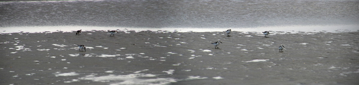 [Group 5]-2015_09_18_018237_2015_09_18_018247-4 images_Bildgr��e �ndern