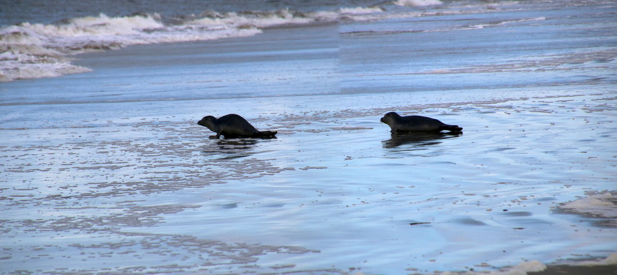 [Group 6]-2015_09_18_018255_2015_09_18_018267-2 images_Bildgr��e �ndern