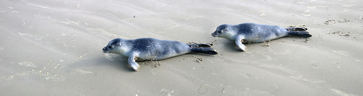 [Group 7]-2015_09_18_018368_2015_09_18_018375-8 images_Bildgr��e �ndern