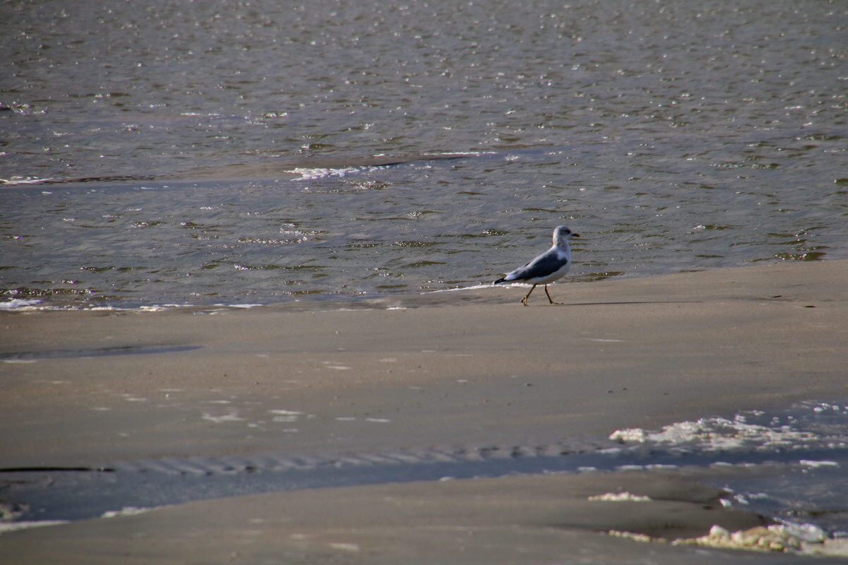 2015_09_18_018190p_Bildgr��e �ndern