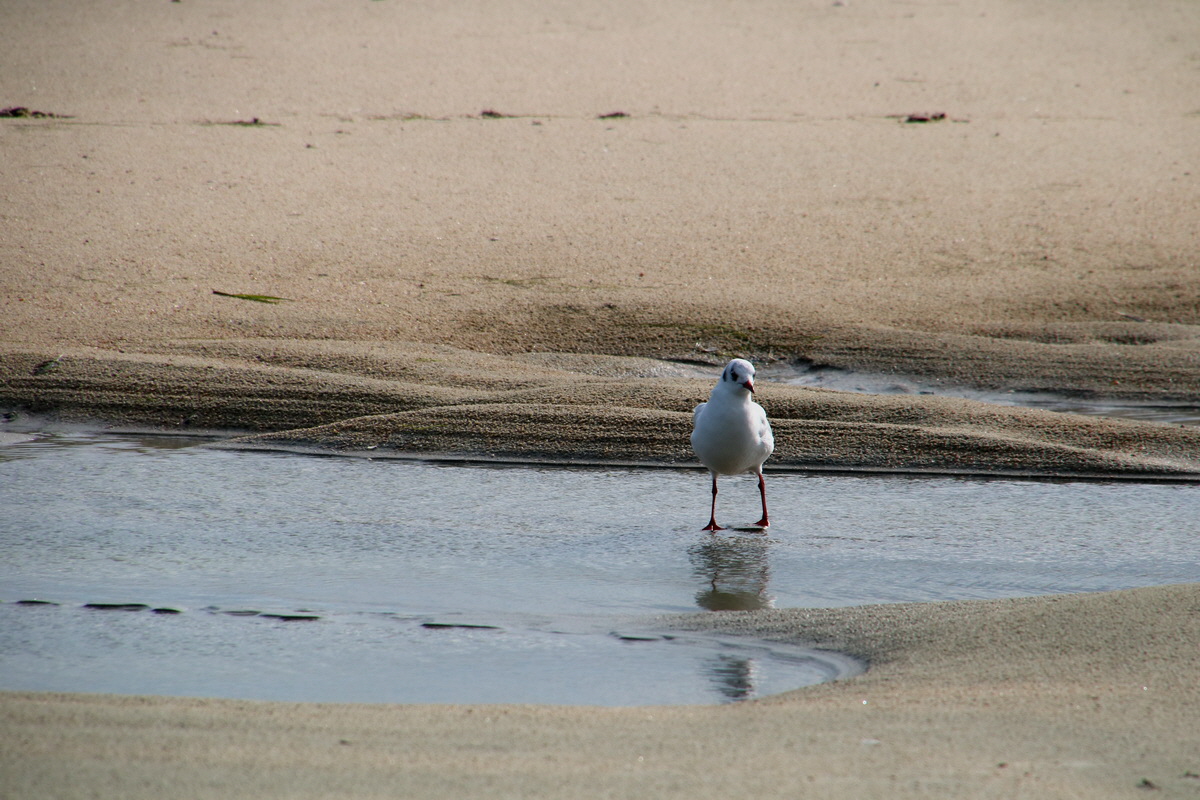 2015_09_18_018194p_Bildgr��e �ndern