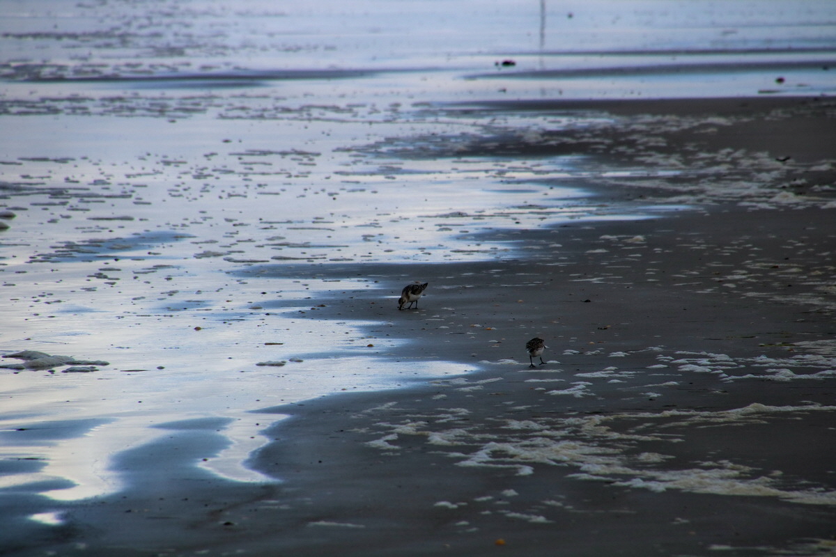 2015_09_18_018222p_Bildgr��e �ndern