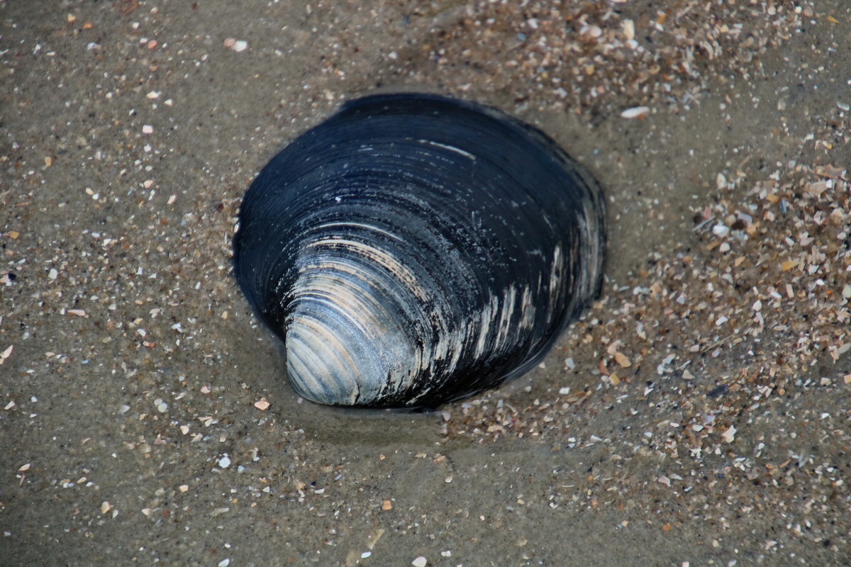 2015_09_18_018234p_Bildgr��e �ndern