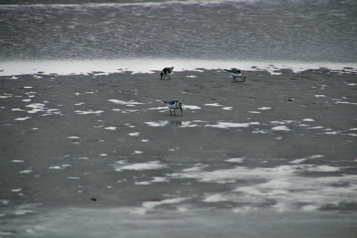 2015_09_18_018238p_Bildgr��e �ndern