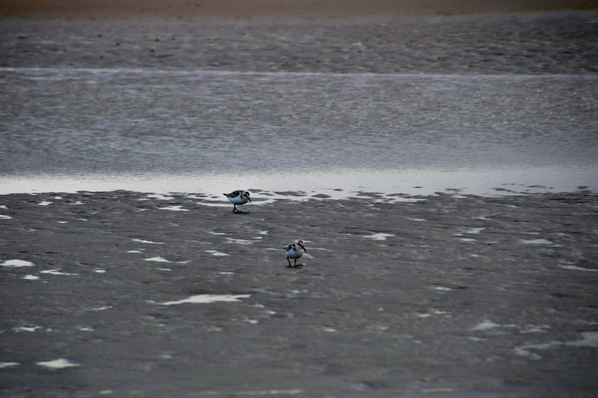 2015_09_18_018247p_Bildgr��e �ndern