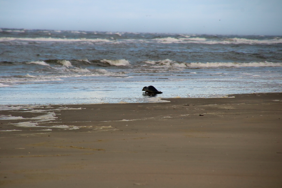 2015_09_18_018251p_Bildgr��e �ndern