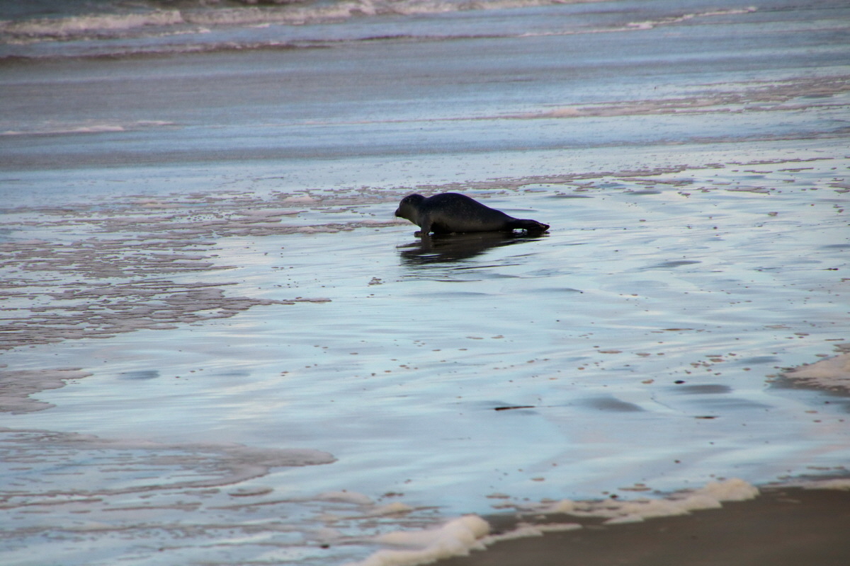 2015_09_18_018258p_Bildgr��e �ndern