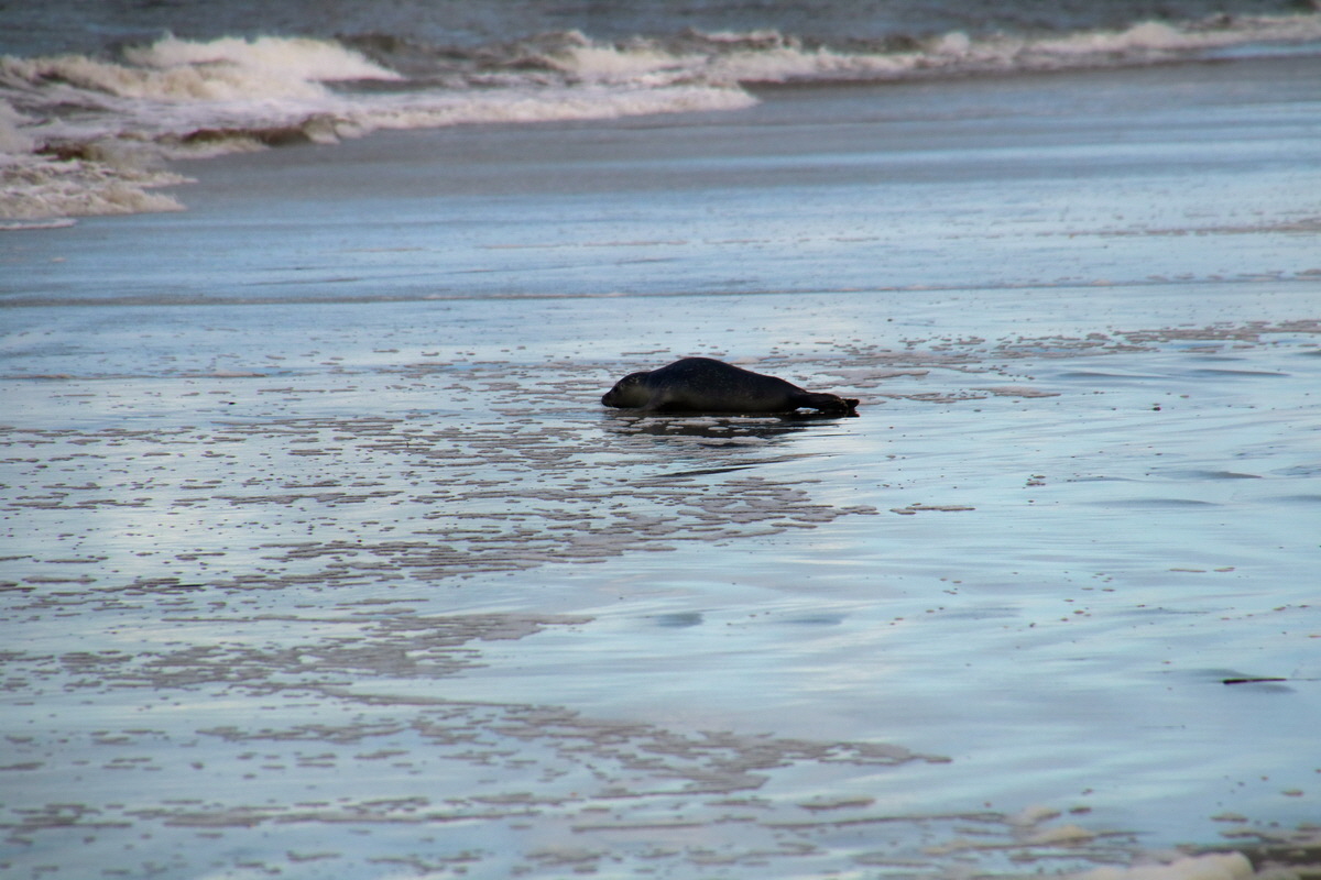 2015_09_18_018265p_Bildgr��e �ndern