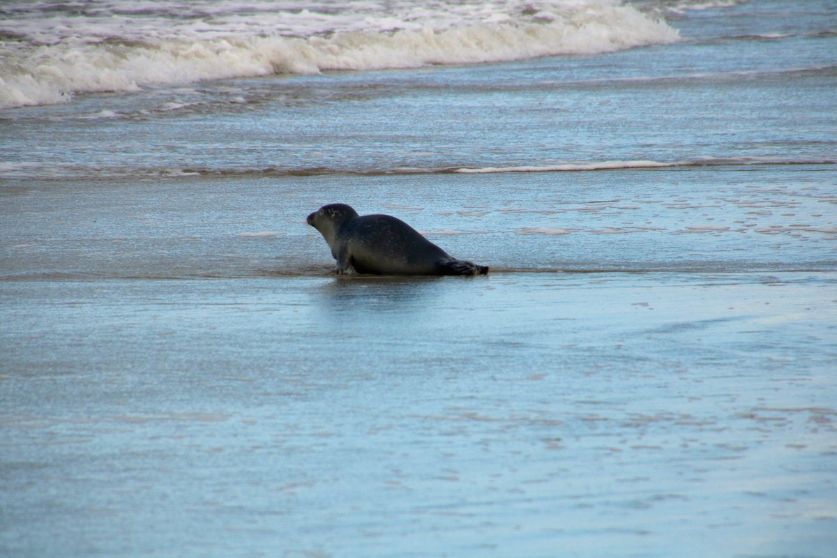 2015_09_18_018280p_Bildgr��e �ndern