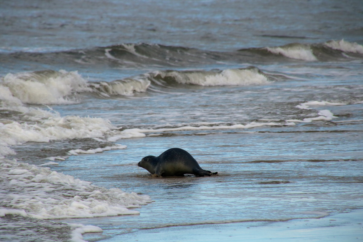 2015_09_18_018305p_Bildgr��e �ndern