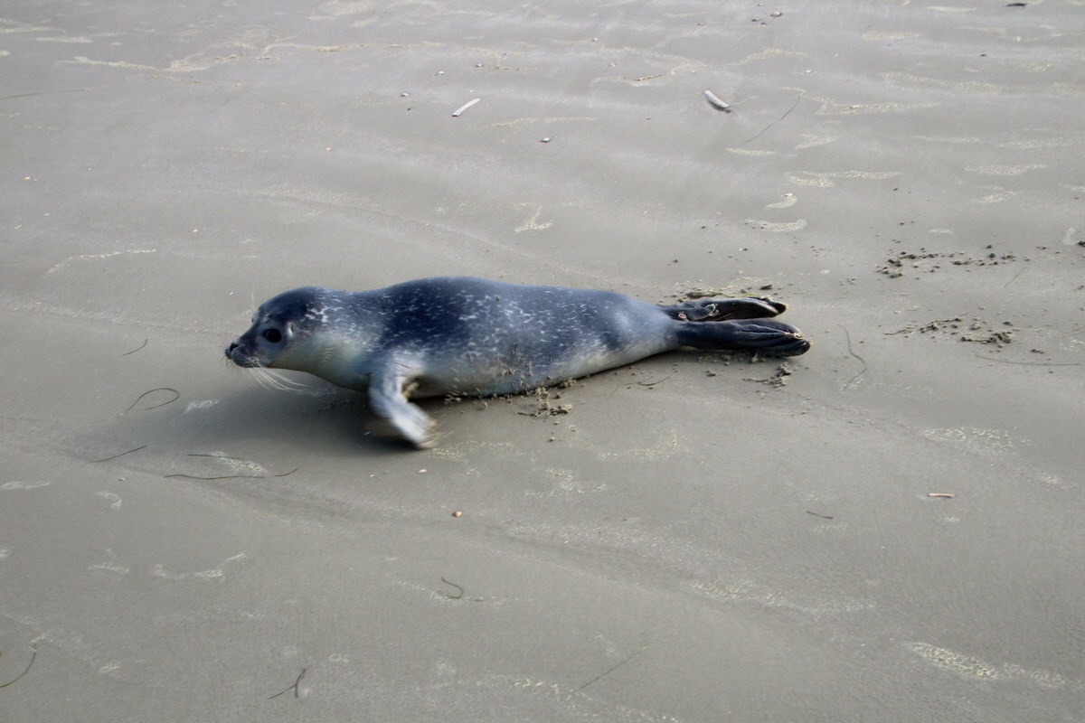 2015_09_18_018368p_Bildgr��e �ndern