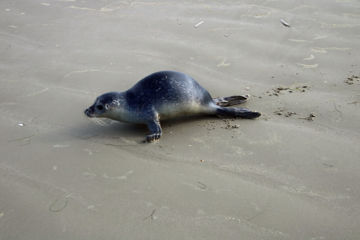 2015_09_18_018369p_Bildgr��e �ndern