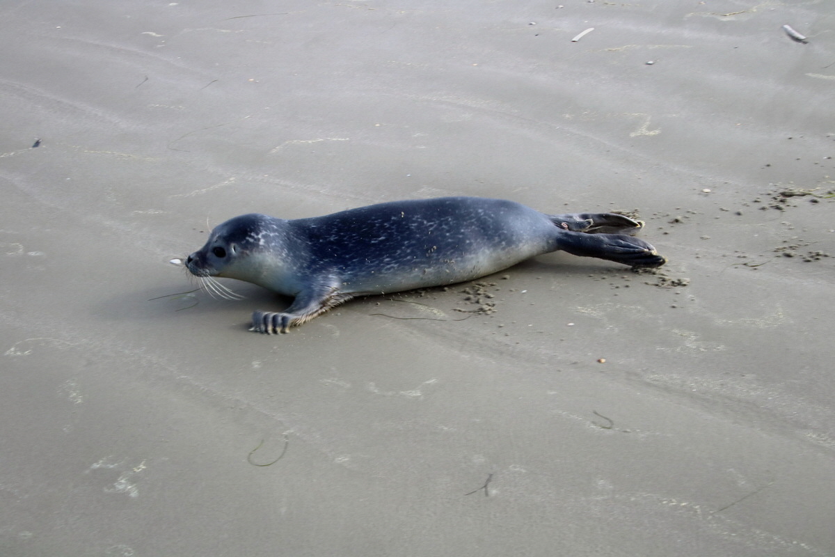 2015_09_18_018370p_Bildgr��e �ndern