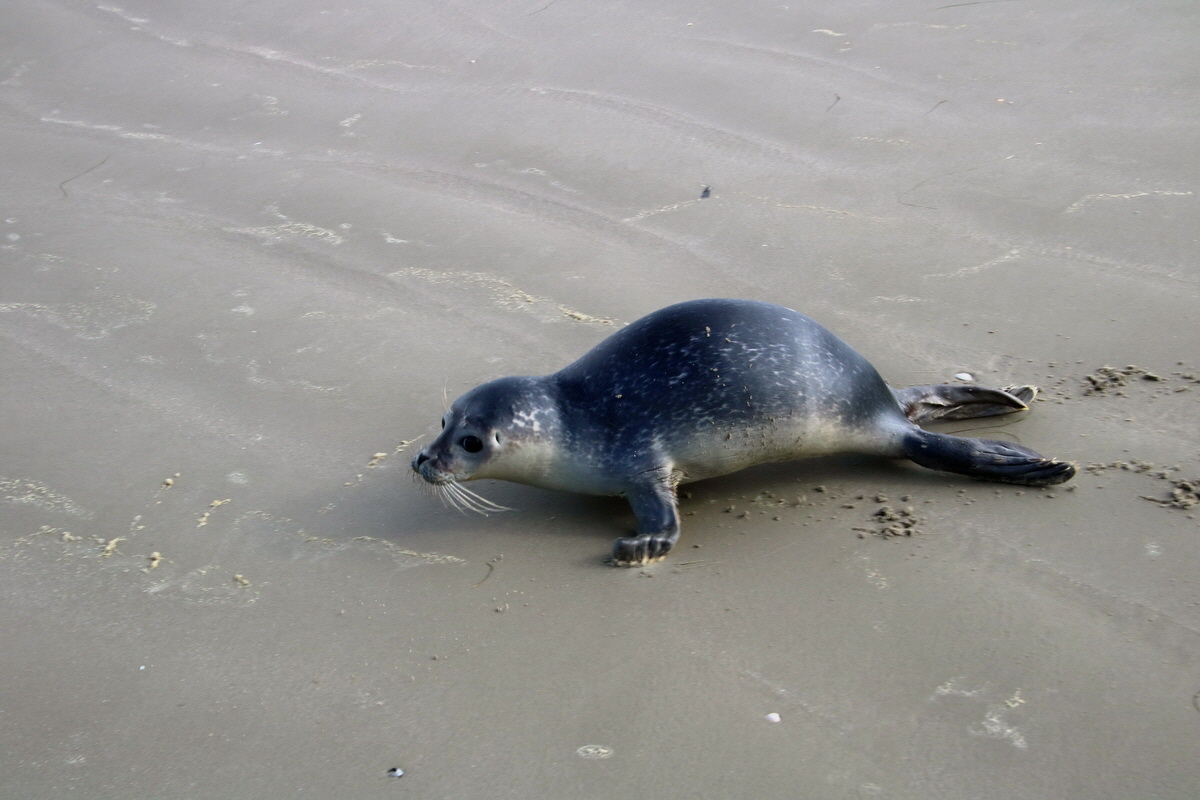 2015_09_18_018374p_Bildgr��e �ndern