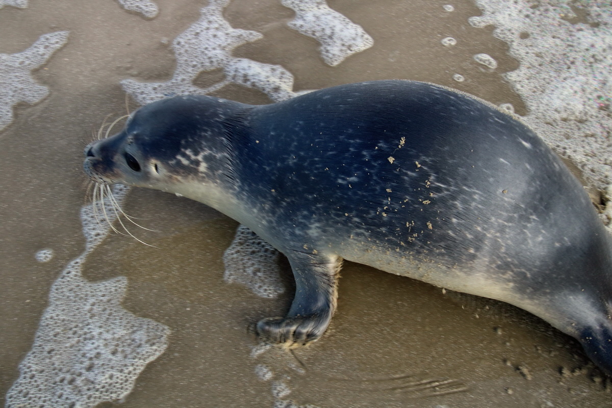 2015_09_18_018377p_Bildgr��e �ndern