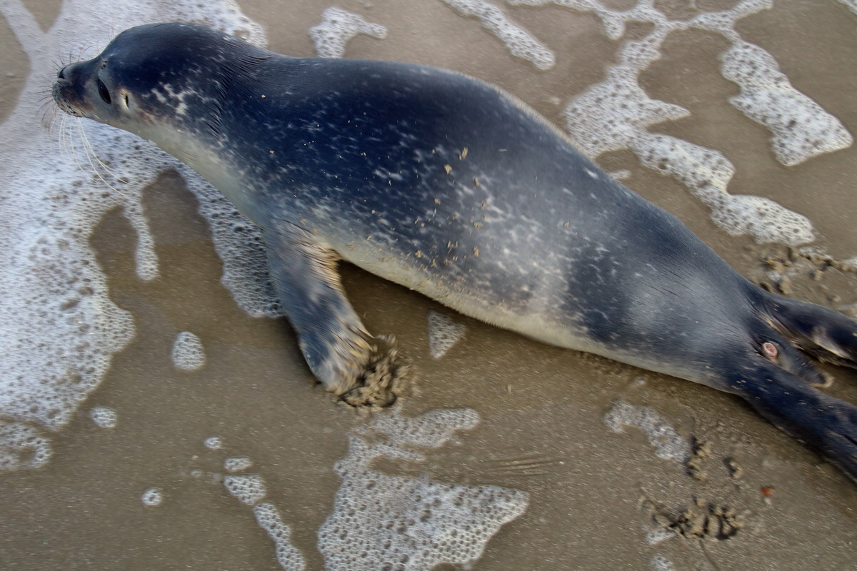 2015_09_18_018379p_Bildgr��e �ndern