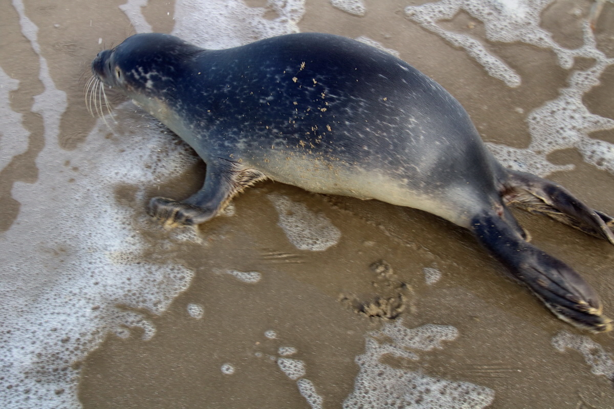 2015_09_18_018380p_Bildgr��e �ndern