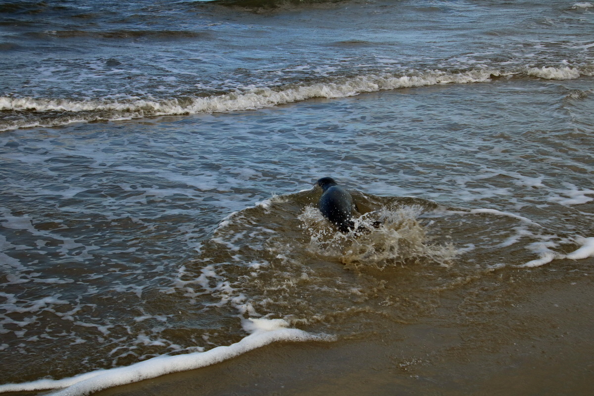 2015_09_18_018384p_Bildgr��e �ndern