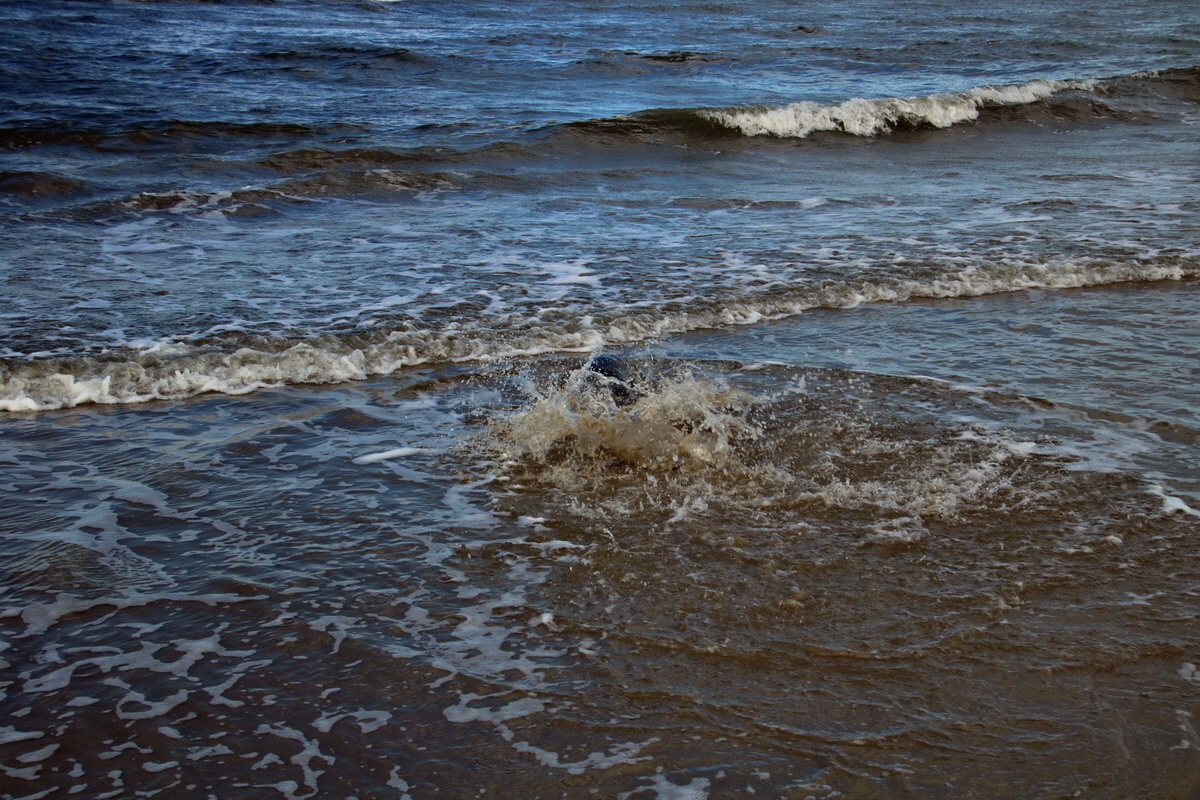 2015_09_18_018391p_Bildgr��e �ndern