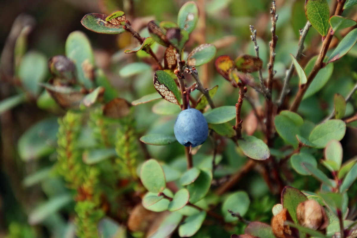 2015_09_18_018455p_Bildgr��e �ndern