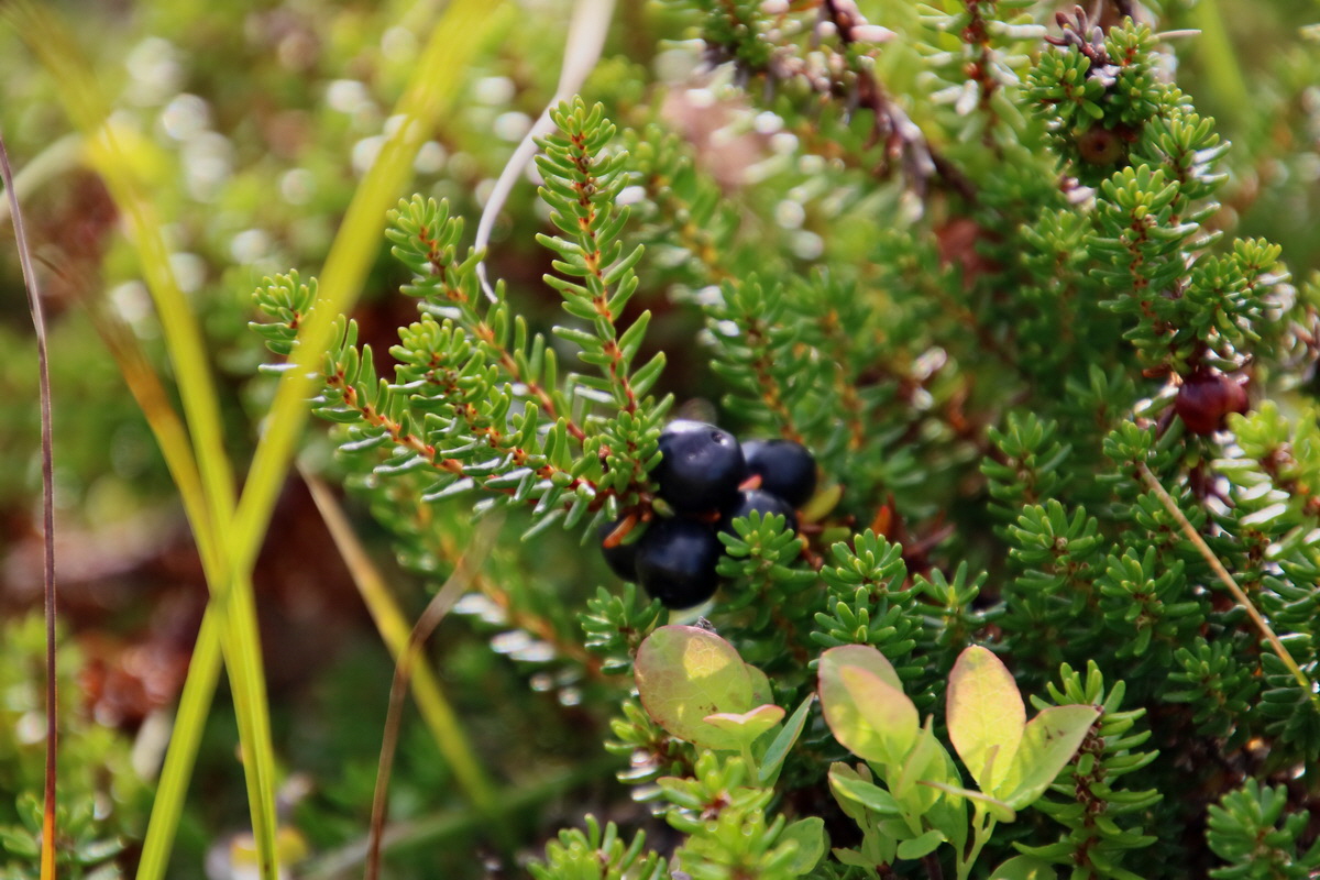 2015_09_18_018459p_Bildgr��e �ndern