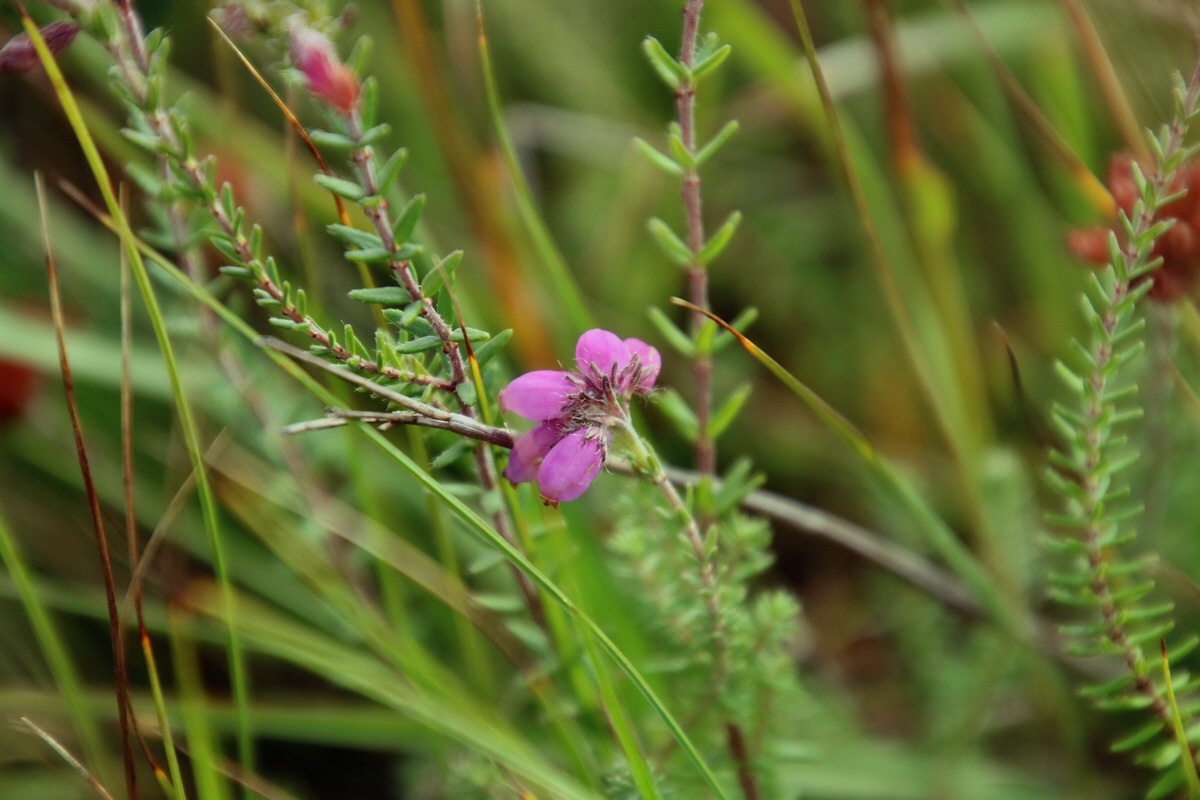 2015_09_18_018477p_Bildgr��e �ndern