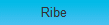 Ribe