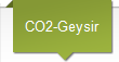 CO2-Geysir