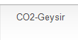 CO2-Geysir