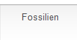 Fossilien