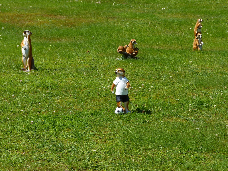 P1120790_Bildgr��e �ndern