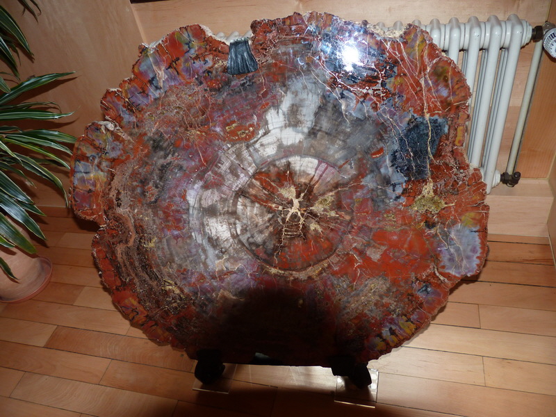 P1120833_Bildgr��e �ndern