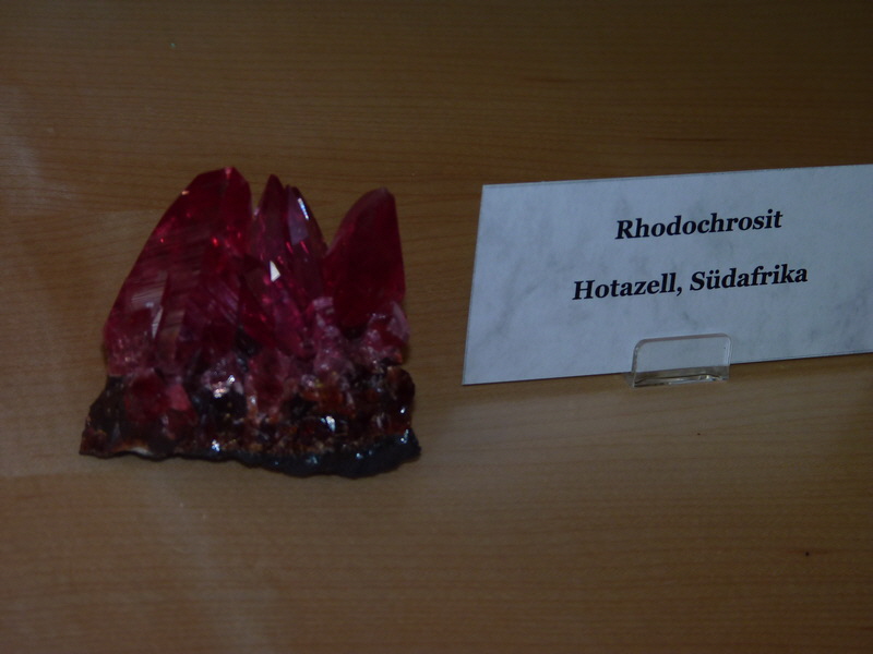 P1120847_Bildgr��e �ndern