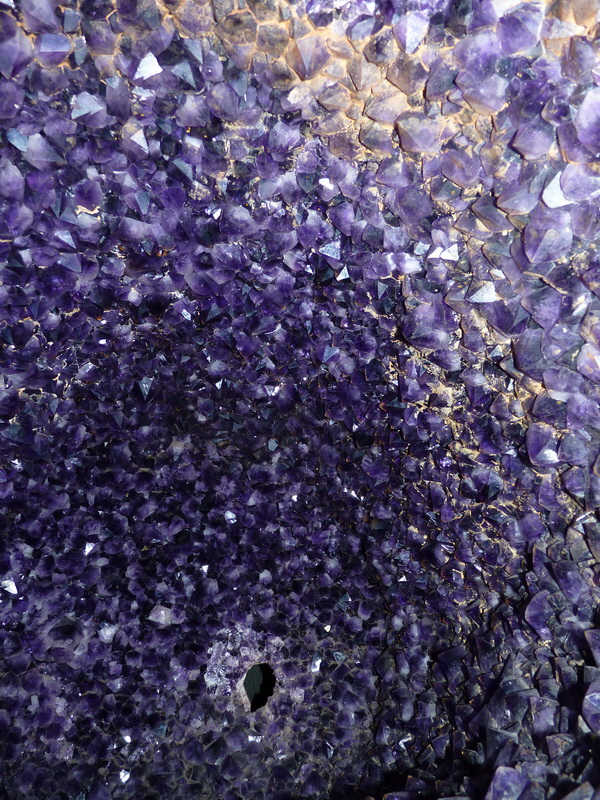 P1120874_Bildgr��e �ndern