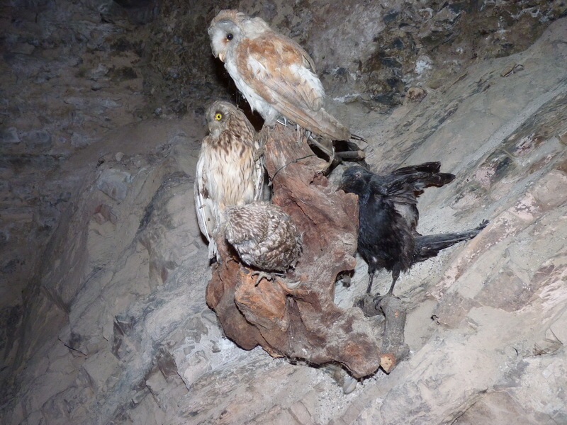 P1120970_Bildgr��e �ndern