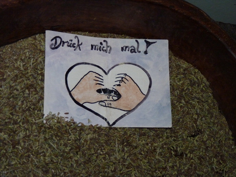 P1120975_Bildgr��e �ndern