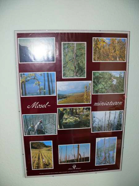 P3200982_Bildgr��e �ndern