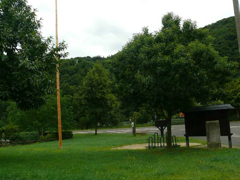 P3200995_Bildgr��e �ndern