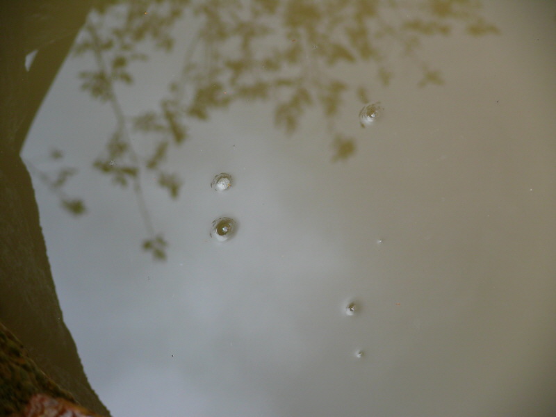 P3210087_Bildgr��e �ndern