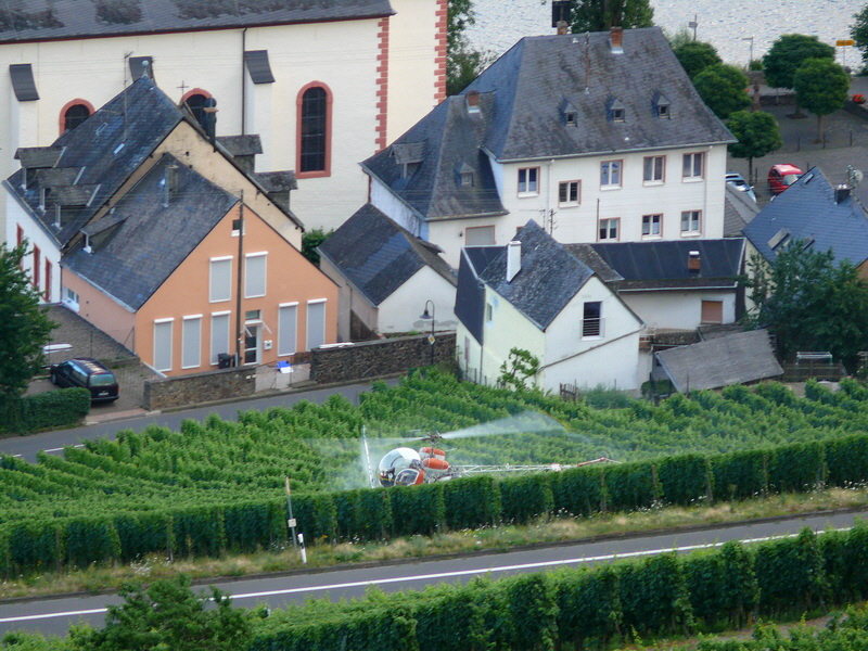 P3210165_Bildgr��e �ndern