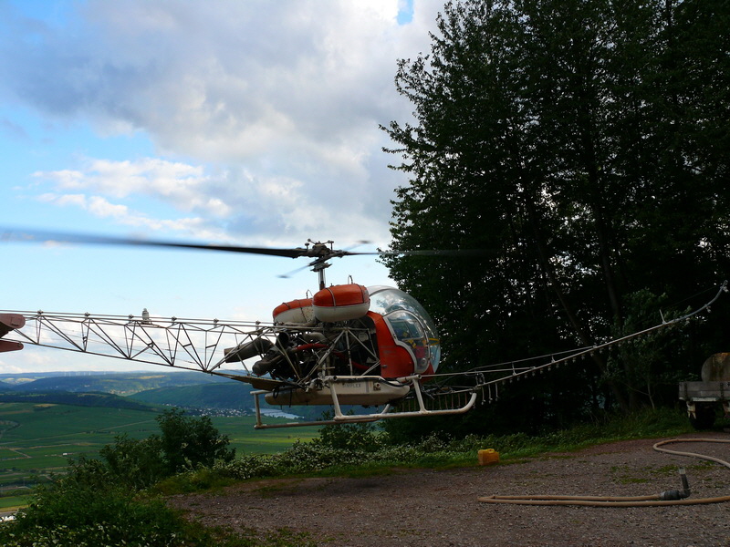 P3210288_Bildgr��e �ndern