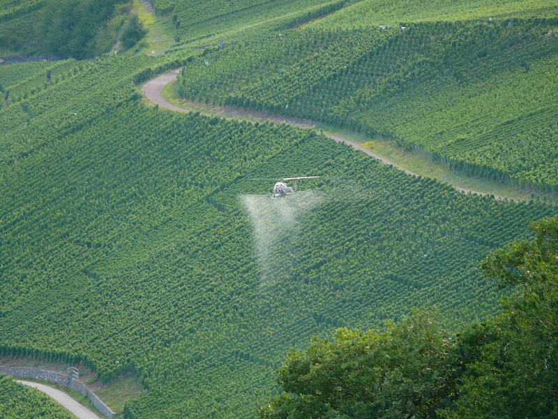 P3210304_Bildgr��e �ndern