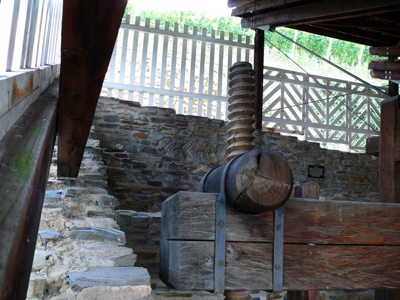 P3210362_Bildgr��e �ndern