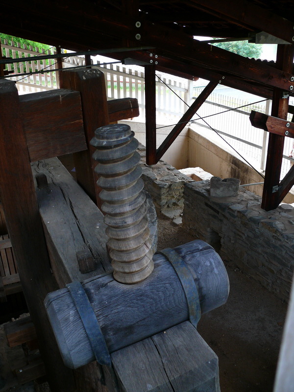 P3210376_Bildgr��e �ndern