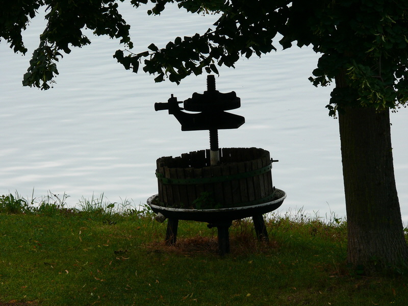 P3210393_Bildgr��e �ndern