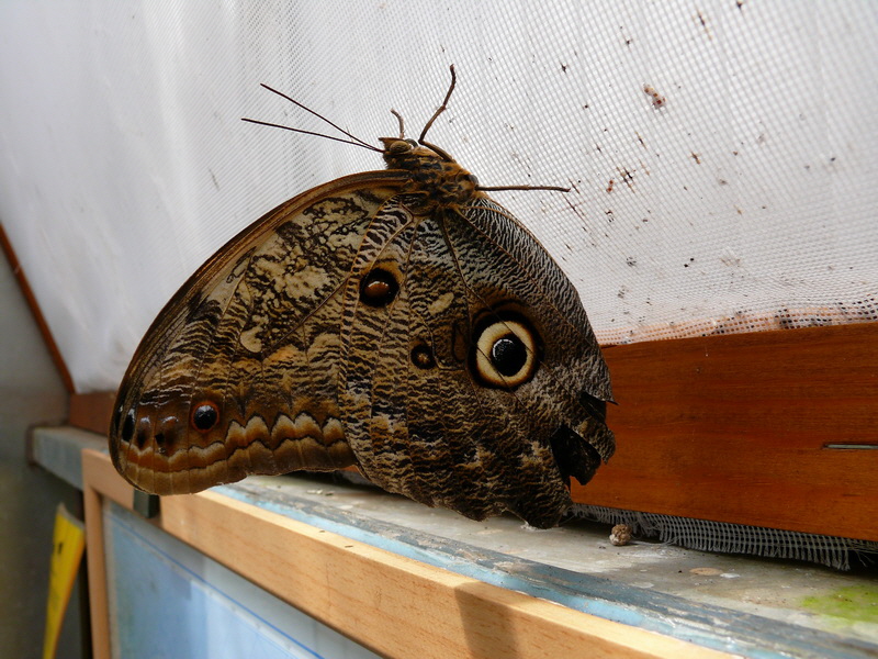 P3210500_Bildgr��e �ndern