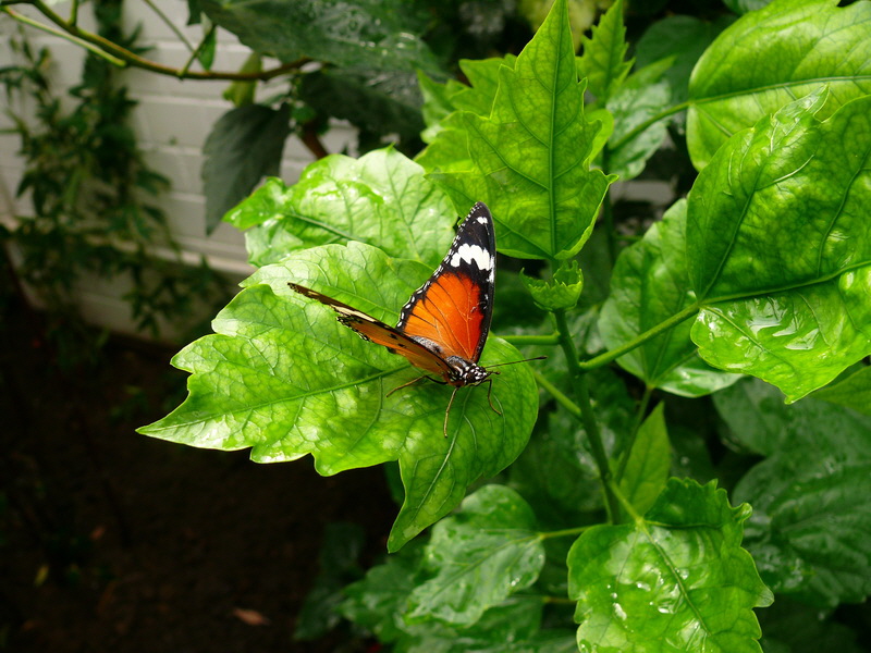 P3210504_Bildgr��e �ndern